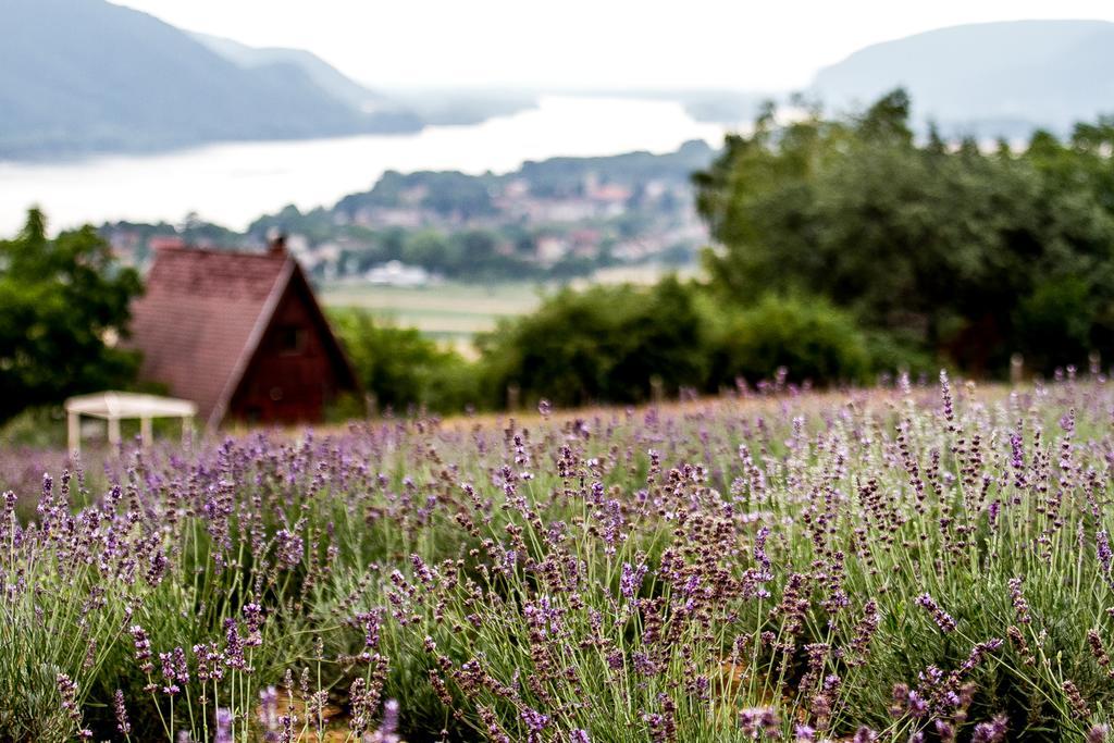 Hotel Natura Hill Panzio & Slow Food Fine Bistro Zebegény Exteriér fotografie