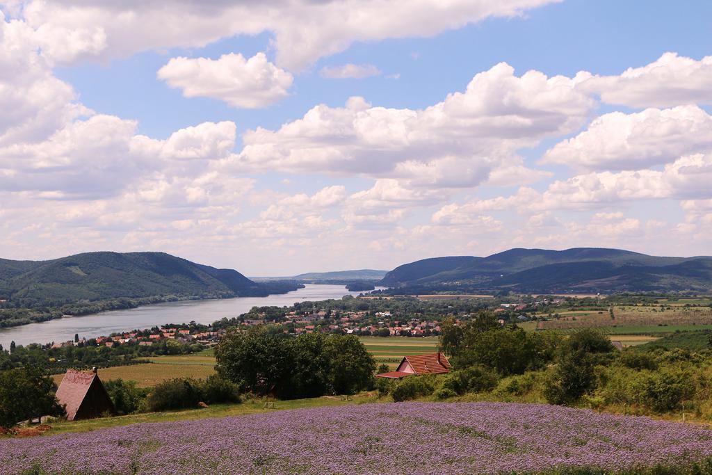 Hotel Natura Hill Panzio & Slow Food Fine Bistro Zebegény Exteriér fotografie