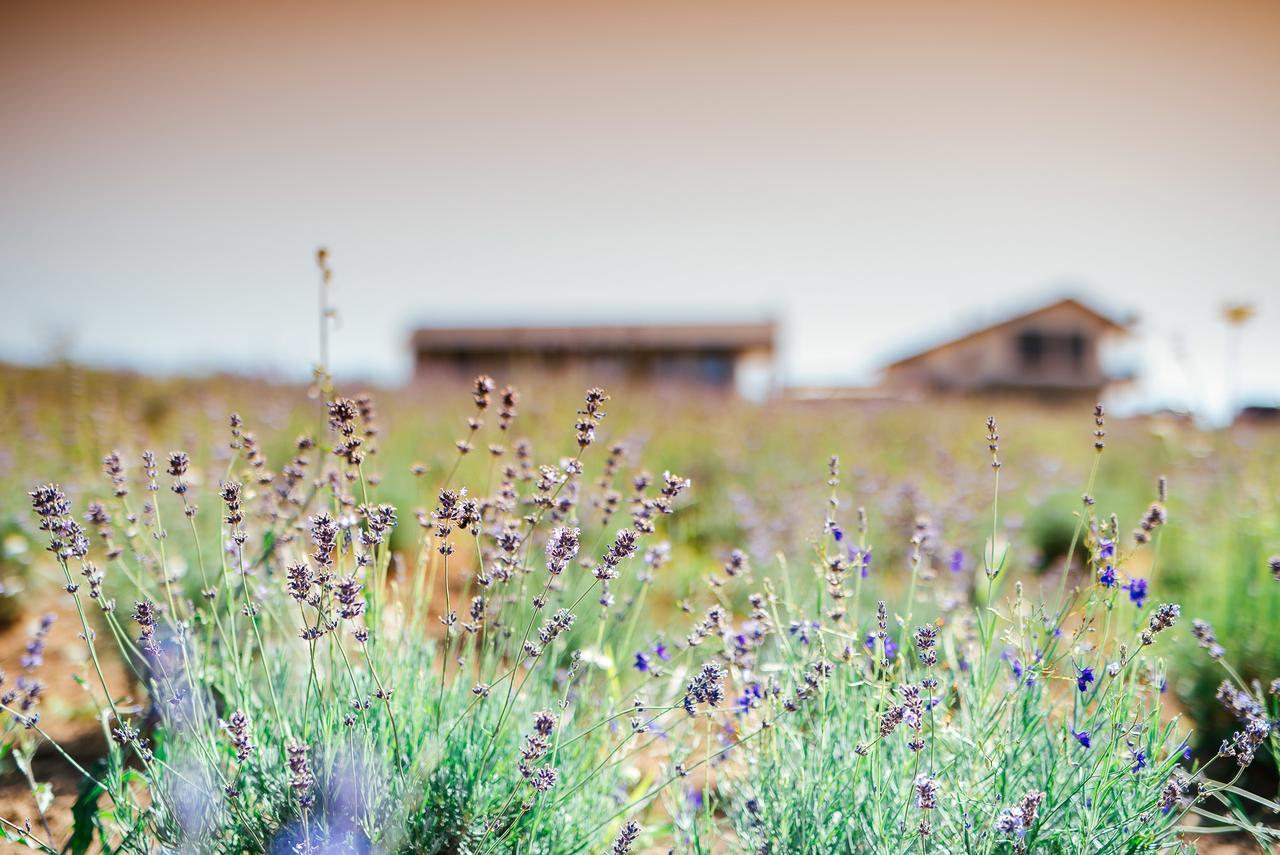 Hotel Natura Hill Panzio & Slow Food Fine Bistro Zebegény Exteriér fotografie